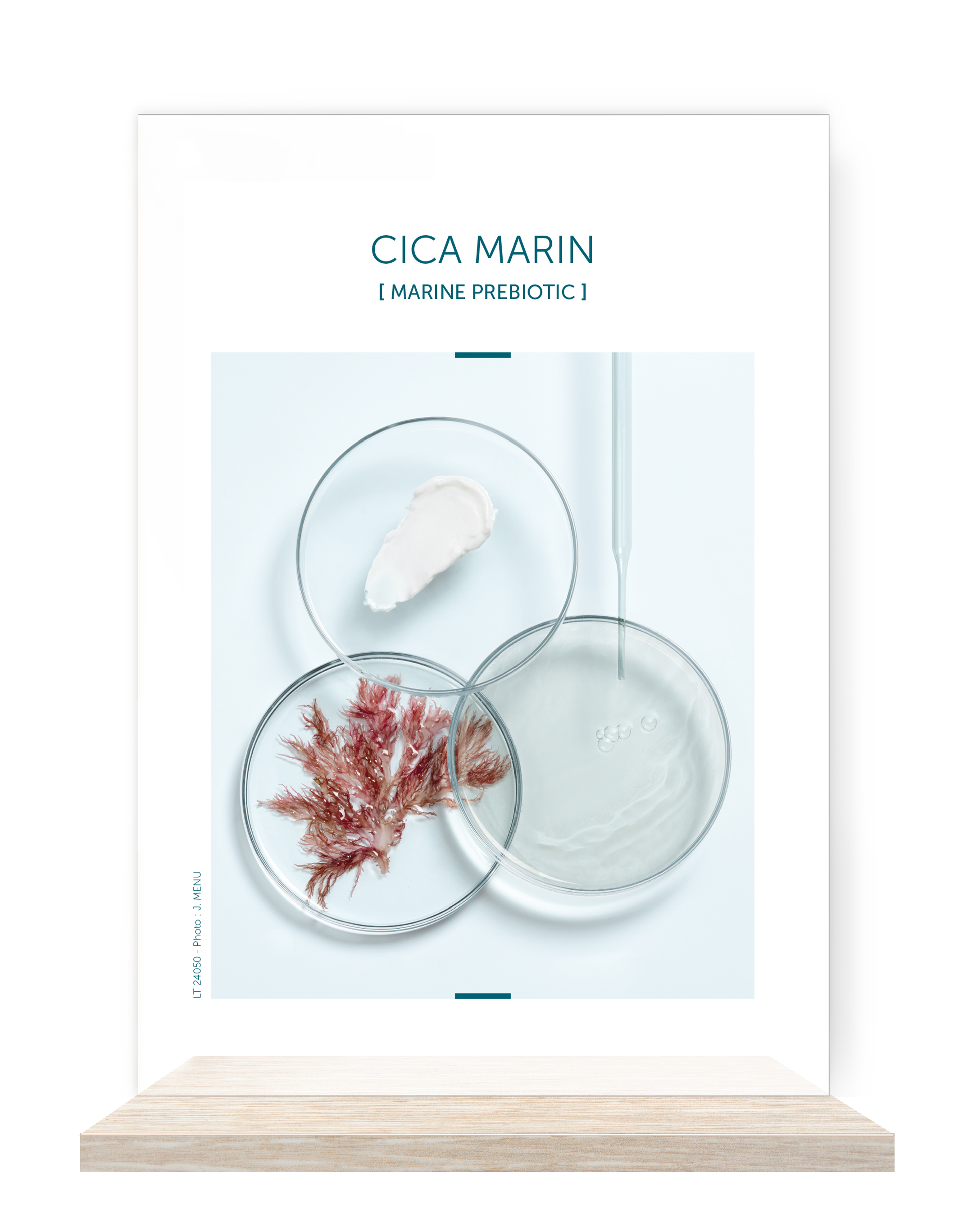 Affiche_A6_CICA_MARIN_GB.png